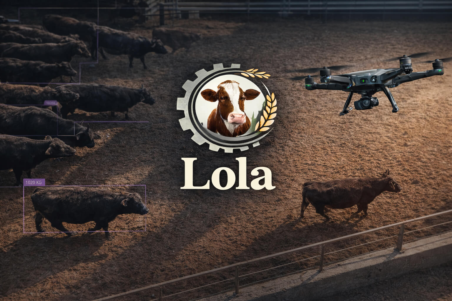 Lola