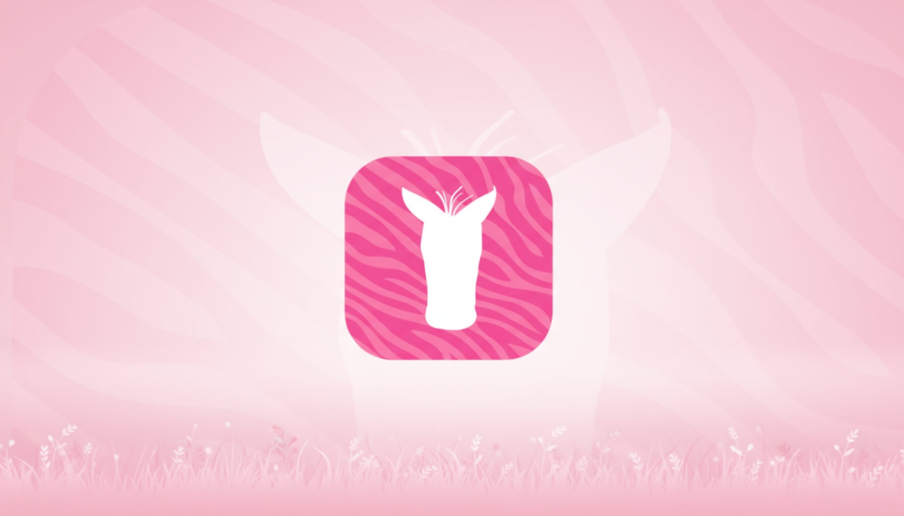 Pink Zebra